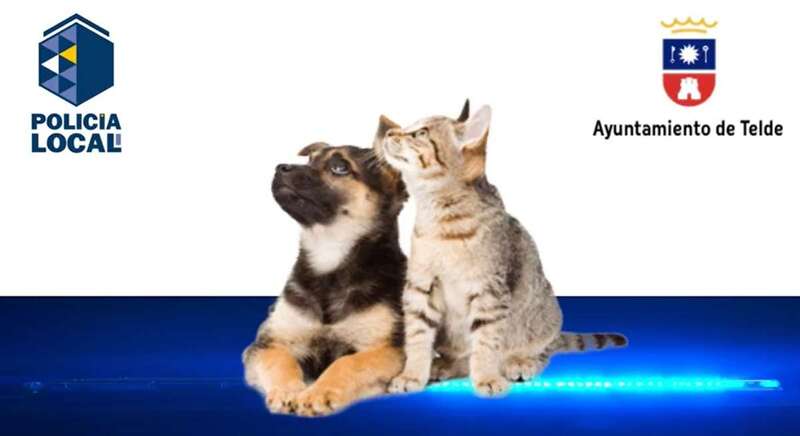 Campaña municipal contra el maltrato animal en Telde (Foto TA)